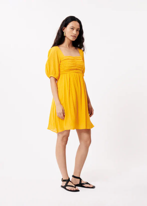 Emy Woven Dress
