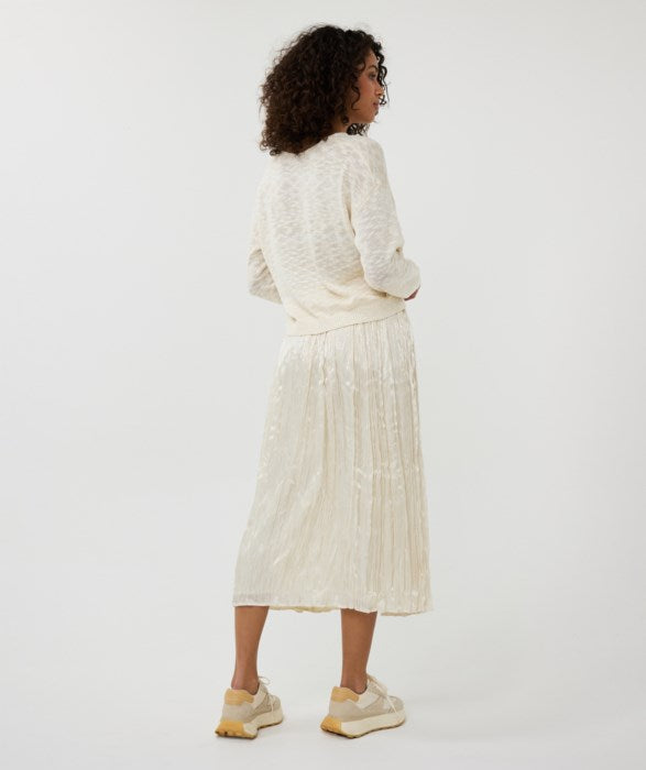 Skirt Plisse Changeant